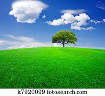 Earth Earth