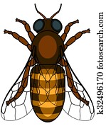 honigbiene honigbiene