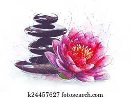 lotus and stones lotus and stones