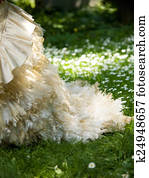 Wedding dress Wedding dress
