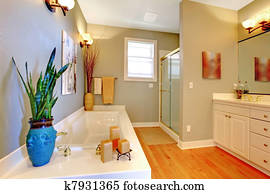Large new remodeled bathroom with green walls and tub.