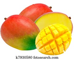 Mango Mango