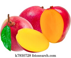 Mango Mango