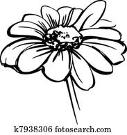 sketch wild flower resembling a daisy sketch wild flower resembling a daisy