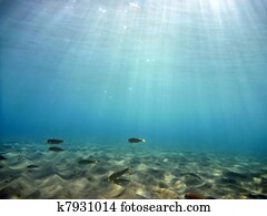 Underwater Underwater