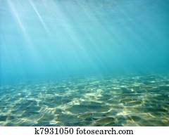 Underwater Underwater