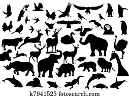 Fauna Fauna