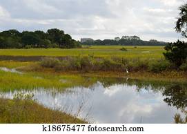 Florida Marsh Land Florida Marsh Land