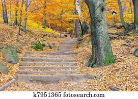hiking trail 04 hiking trail 04