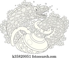 Moray Moray