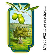 Olive oil Olive oil