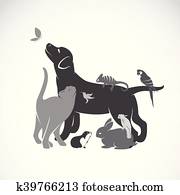 וקטור, קבץ, של, חיות בית, -, dog,, cat,, parrot,, chameleon,, rabbit,, butterfly,, גויניה, pig,, האמינגבירד, הפרד, בלבן, רקע.