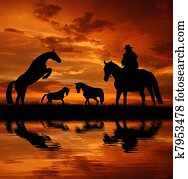 צללית, קאובוי, עם, סוס