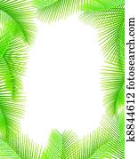 folhas, de, árvore palma, branco