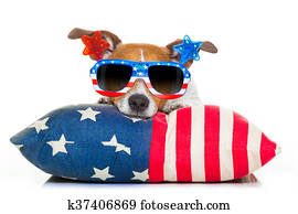 fourth of july independence day dog fourth of july independence day dog