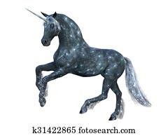 Unicorn Unicorn