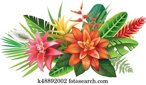 arranjo, de, flores tropicais