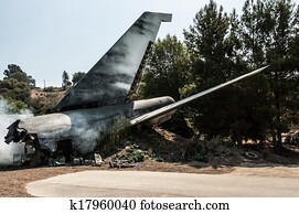 Plane crash Plane crash