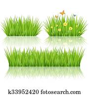 vector green grass vector green grass