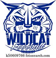 wildcat football wildcat football