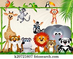 zoo animals zoo animals