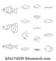 別 タイプ の 水族館 そして 海洋魚 うろこ状 Neon A Fish セット コレクション アイコン 中に 漫画 黒 モノクローム アウトライン スタイル ベクトル シンボル 株イラスト Web クリップアート K Fotosearch