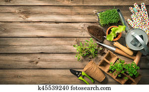 Gardening tools, seeds and soil on wooden table