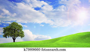 Green nature landscape Green nature landscape