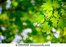 Environment background