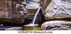 Spring Water in the Desert of Sabino Canyon Spring Water in the Desert of Sabino Canyon