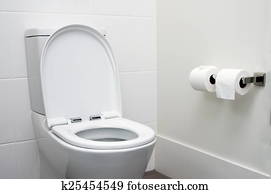 toilet toilet
