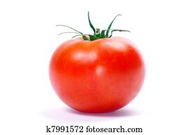 tomato tomato