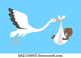 White stork flying with a newborn baby