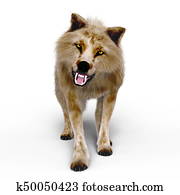 Wolf Wolf