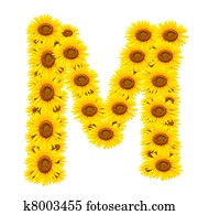 alphabet M , sunflower alphabet M , sunflower