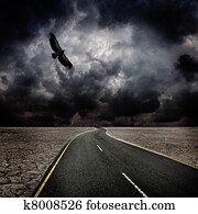 Storm, bird, road in desert Storm, bird, road in desert