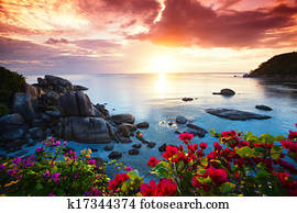 tranqüilo, recurso praia, bonito, glory manhã, ligado, a, koh samui