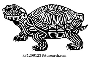 turtle black and white turtle black and white