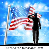 bandeira americana, e, silueta, soldado, saudando