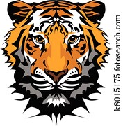cabeça tigre, vetorial, gráfico, mascote
