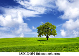 Green energy Green energy