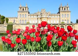 Quand henry rencontre sally