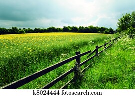 Agriculture Agriculture