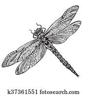 Hand drawn dragonfly in zentangle style Hand drawn dragonfly in zentangle style