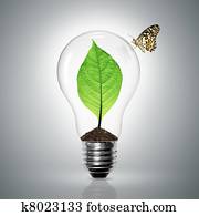 Leaves grow in a light bulb Leaves grow in a light bulb