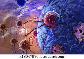 cancer cell cancer cell