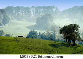 landscape of the green countryside landscape of the green countryside