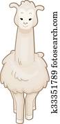 Llama Front Llama Front