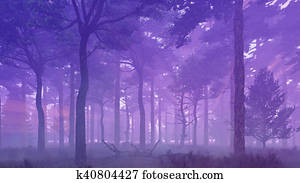 Misty pine forest at sunset Misty pine forest at sunset