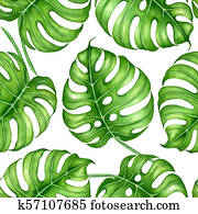 Monstera leaves seamless pattern Monstera leaves seamless pattern